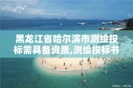 黑龙江省哈尔滨市测绘投标需具备资质,测绘投标书完整版范文