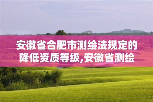 安徽省合肥市测绘法规定的降低资质等级,安徽省测绘条例