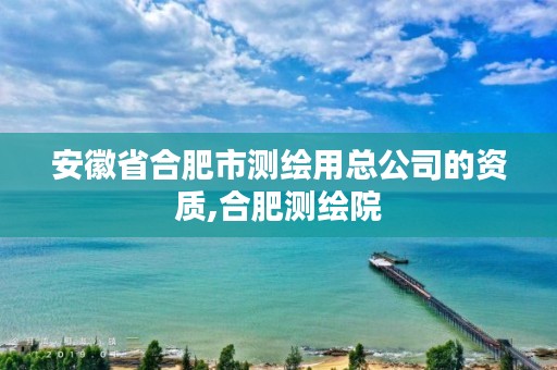 安徽省合肥市测绘用总公司的资质,合肥测绘院