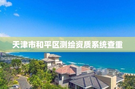 天津市和平区测绘资质系统查重