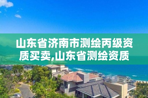 山东省济南市测绘丙级资质买卖,山东省测绘资质专用章 丁级