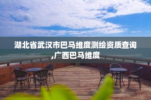 湖北省武汉市巴马维度测绘资质查询,广西巴马维度