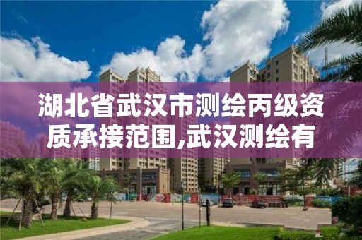 湖北省武汉市测绘丙级资质承接范围,武汉测绘有限公司