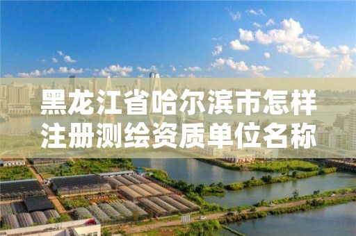 黑龙江省哈尔滨市怎样注册测绘资质单位名称,黑龙江测绘公司乙级资质