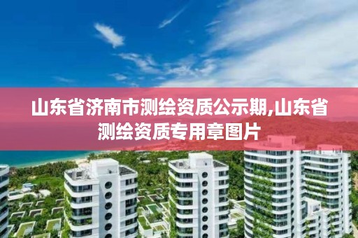 山东省济南市测绘资质公示期,山东省测绘资质专用章图片