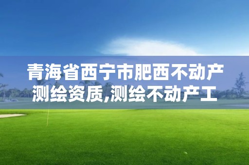 青海省西宁市肥西不动产测绘资质,测绘不动产工作流程