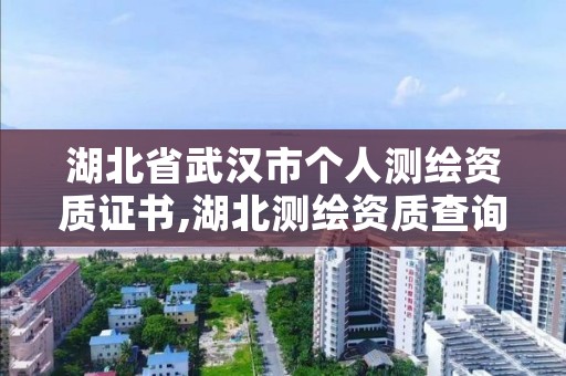 湖北省武汉市个人测绘资质证书,湖北测绘资质查询