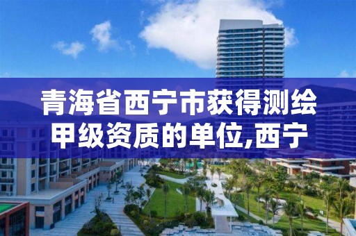 青海省西宁市获得测绘甲级资质的单位,西宁测绘公司联系方式