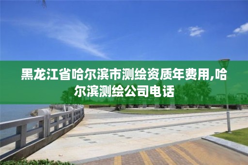 黑龙江省哈尔滨市测绘资质年费用,哈尔滨测绘公司电话