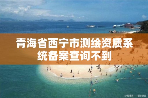 青海省西宁市测绘资质系统备案查询不到