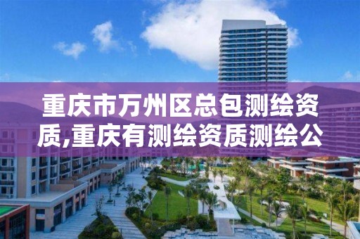 重庆市万州区总包测绘资质,重庆有测绘资质测绘公司大全