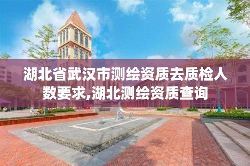 湖北省武汉市测绘资质去质检人数要求,湖北测绘资质查询