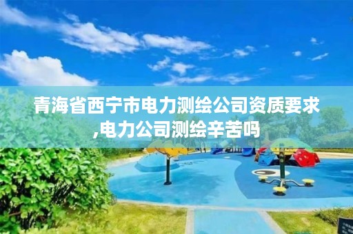 青海省西宁市电力测绘公司资质要求,电力公司测绘辛苦吗