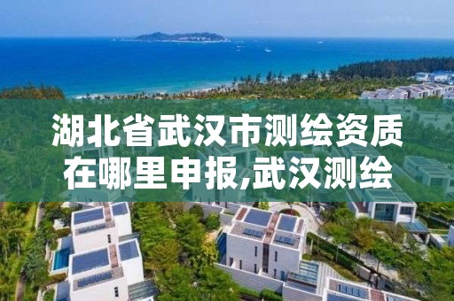 湖北省武汉市测绘资质在哪里申报,武汉测绘有限公司