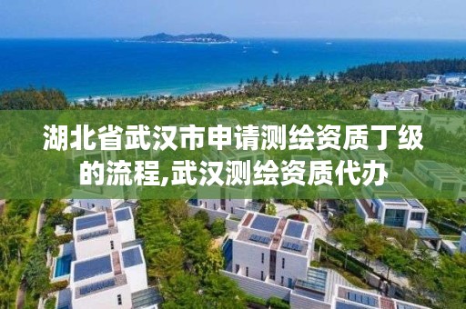 湖北省武汉市申请测绘资质丁级的流程,武汉测绘资质代办