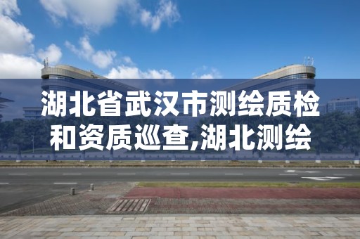 湖北省武汉市测绘质检和资质巡查,湖北测绘质量检查站站长