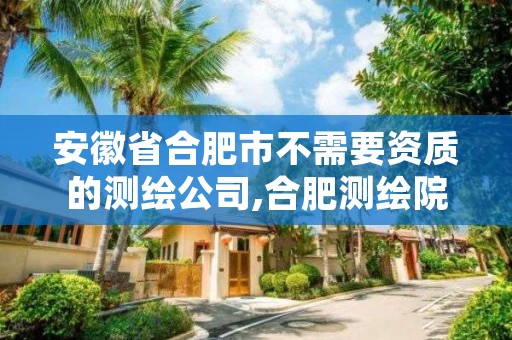 安徽省合肥市不需要资质的测绘公司,合肥测绘院是什么单位