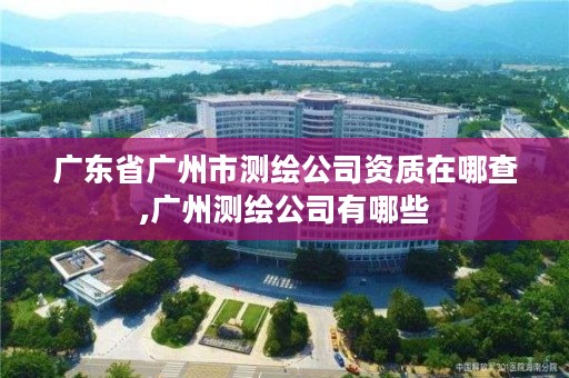 广东省广州市测绘公司资质在哪查,广州测绘公司有哪些