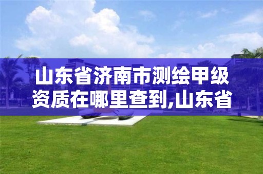 山东省济南市测绘甲级资质在哪里查到,山东省测绘甲级资质单位