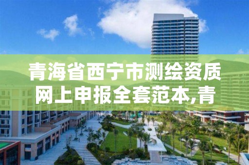 青海省西宁市测绘资质网上申报全套范本,青海测绘资质办理