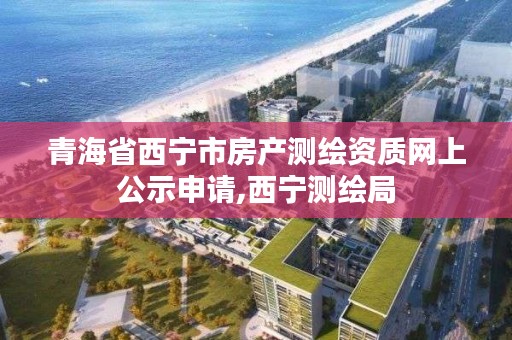 青海省西宁市房产测绘资质网上公示申请,西宁测绘局