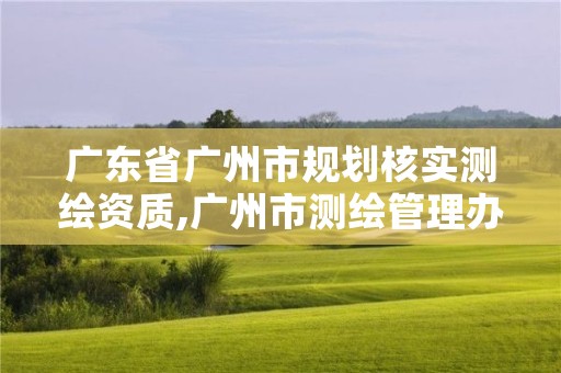 广东省广州市规划核实测绘资质,广州市测绘管理办法