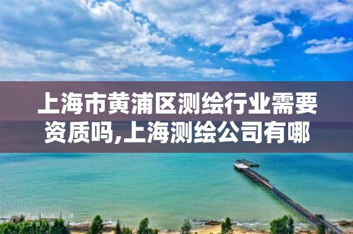 上海市黄浦区测绘行业需要资质吗,上海测绘公司有哪几家