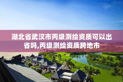 湖北省武汉市丙级测绘资质可以出省吗,丙级测绘资质跨地市