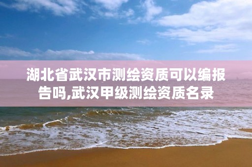 湖北省武汉市测绘资质可以编报告吗,武汉甲级测绘资质名录