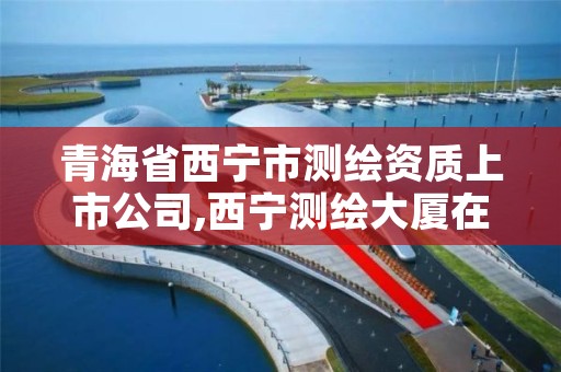 青海省西宁市测绘资质上市公司,西宁测绘大厦在哪儿