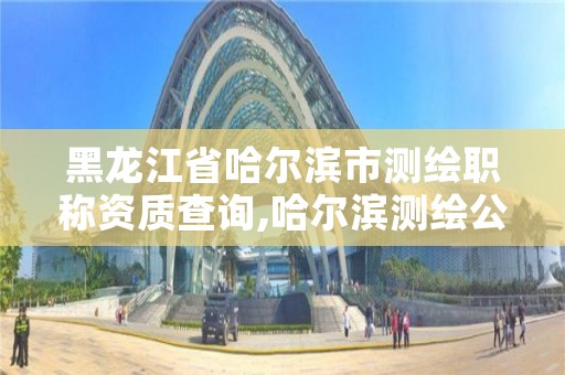 黑龙江省哈尔滨市测绘职称资质查询,哈尔滨测绘公司电话