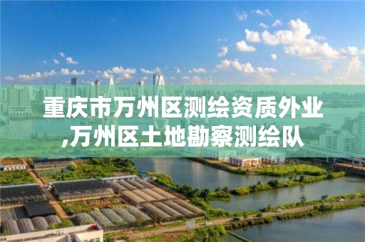 重庆市万州区测绘资质外业,万州区土地勘察测绘队