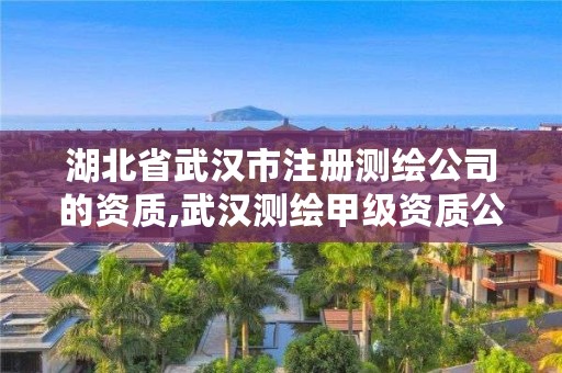 湖北省武汉市注册测绘公司的资质,武汉测绘甲级资质公司