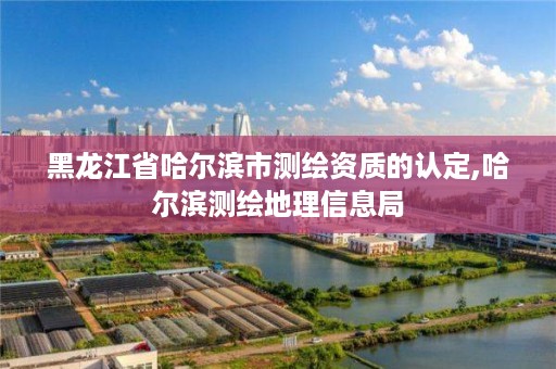 黑龙江省哈尔滨市测绘资质的认定,哈尔滨测绘地理信息局