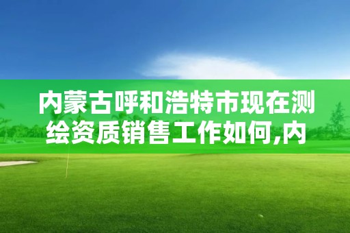 内蒙古呼和浩特市现在测绘资质销售工作如何,内蒙古测绘资质代办