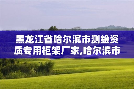 黑龙江省哈尔滨市测绘资质专用柜架厂家,哈尔滨市测绘公司