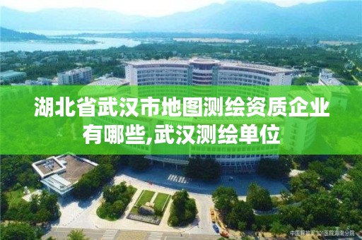 湖北省武汉市地图测绘资质企业有哪些,武汉测绘单位