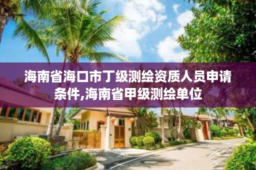 海南省海口市丁级测绘资质人员申请条件,海南省甲级测绘单位