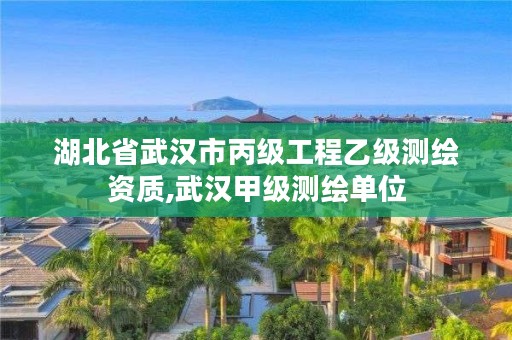 湖北省武汉市丙级工程乙级测绘资质,武汉甲级测绘单位