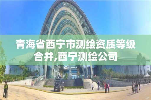 青海省西宁市测绘资质等级合并,西宁测绘公司