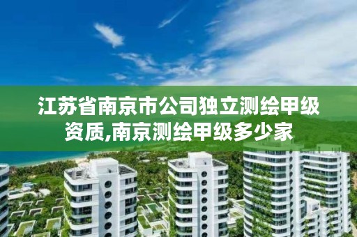 江苏省南京市公司独立测绘甲级资质,南京测绘甲级多少家