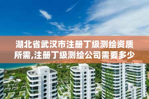 湖北省武汉市注册丁级测绘资质所需,注册丁级测绘公司需要多少钱