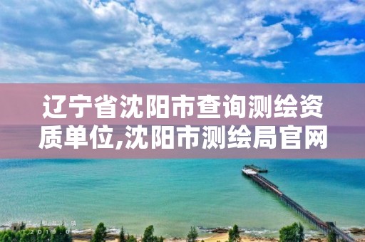 辽宁省沈阳市查询测绘资质单位,沈阳市测绘局官网