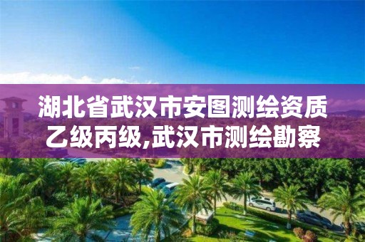 湖北省武汉市安图测绘资质乙级丙级,武汉市测绘勘察设计甲级资质公司