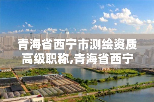 青海省西宁市测绘资质高级职称,青海省西宁市测绘院