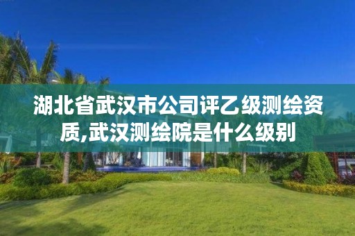 湖北省武汉市公司评乙级测绘资质,武汉测绘院是什么级别