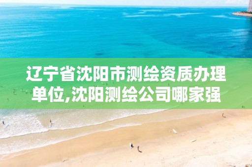 辽宁省沈阳市测绘资质办理单位,沈阳测绘公司哪家强哪家好