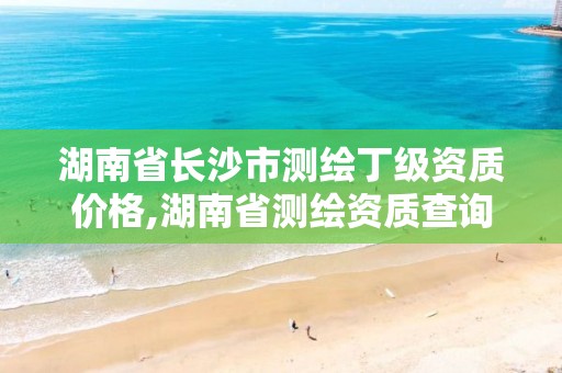 湖南省长沙市测绘丁级资质价格,湖南省测绘资质查询