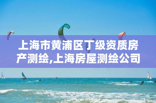 上海市黄浦区丁级资质房产测绘,上海房屋测绘公司有哪几家