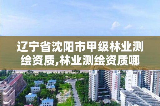 辽宁省沈阳市甲级林业测绘资质,林业测绘资质哪里办理